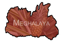 Meghalaya Pineapple