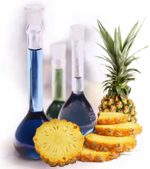 Pineapple Food Technology