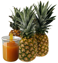 Pineapple Pulp - Puree