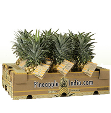 Pineapple Fruit-global food standards
