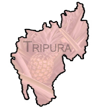Tripura Pineapple,India